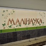 фотография станции метро Малиновка