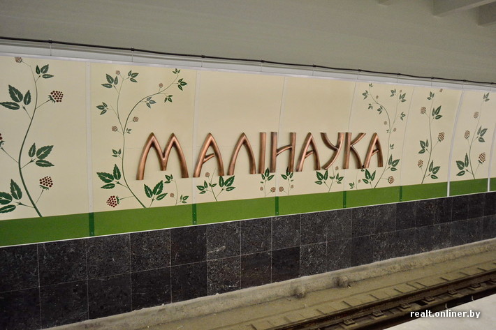 фотография станции метро Малиновка