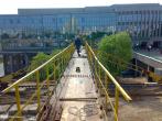 Петровщина Петровщина