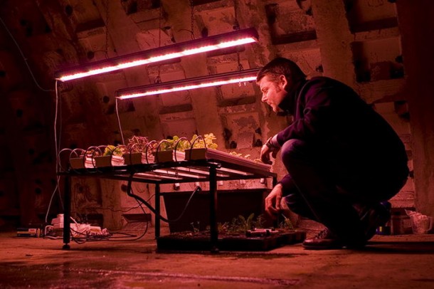 В тоннелях лондонского метро выращивают растения для ресторанов