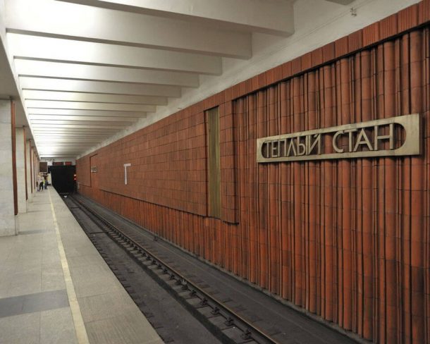 Женщина упала под поезд на станции метро «Теплый стан»