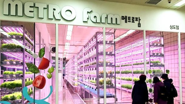 Сеульское метро обзавелось собственными подземными овощными фермами